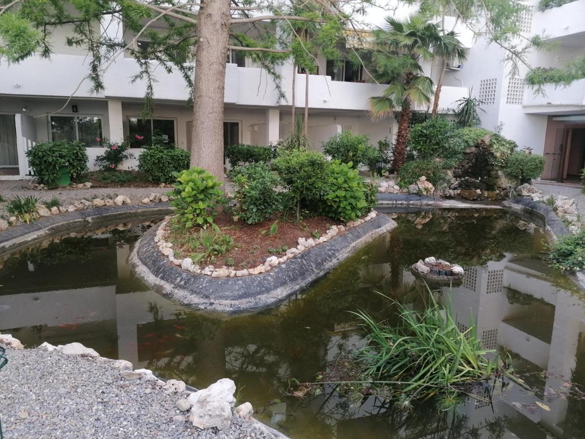 Global Immo 3329 Royal Marine I Apartment Roses Ngoại thất bức ảnh